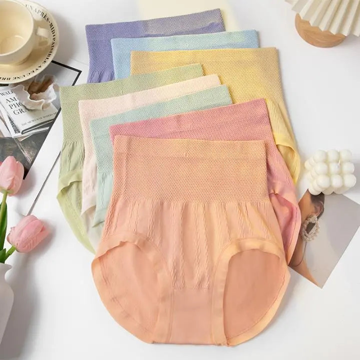 Sanivelle | High Waist Control Briefs