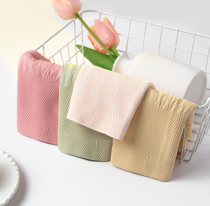 Sanivelle | High Waist Control Briefs