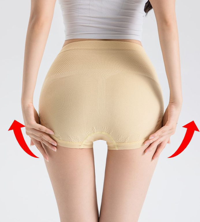 Sanivelle | High Waist Control Briefs