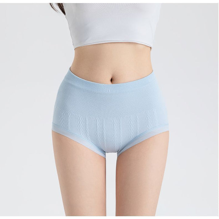 Sanivelle | High Waist Control Briefs