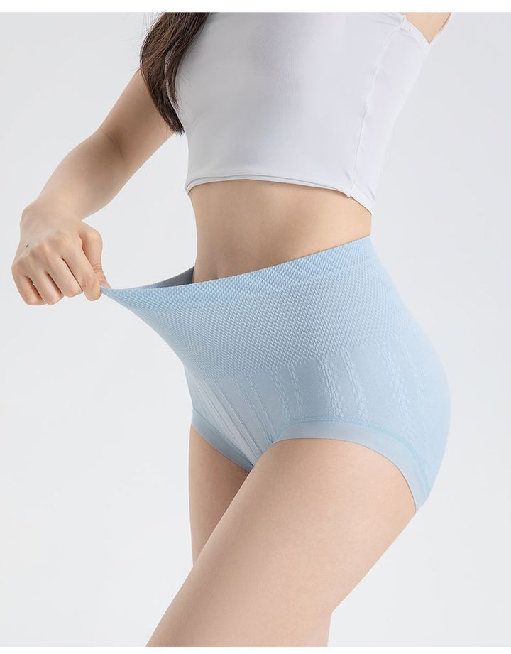 Sanivelle | High Waist Control Briefs