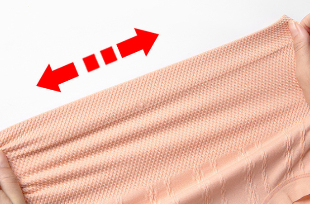 Sanivelle | High Waist Control Briefs